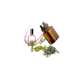 Boss Bottled Elixir parfüm esansı, yoğun odunsu ve baharatlı koku profili