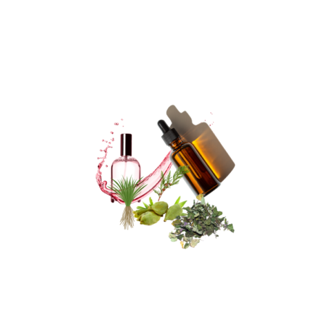 Boss Bottled Elixir parfüm esansı, yoğun odunsu ve baharatlı koku profili
