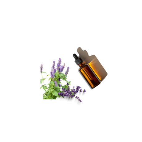 Paçuli lavanta esansı, aromatik lavanta ve topraksı paçuli koku notaları.